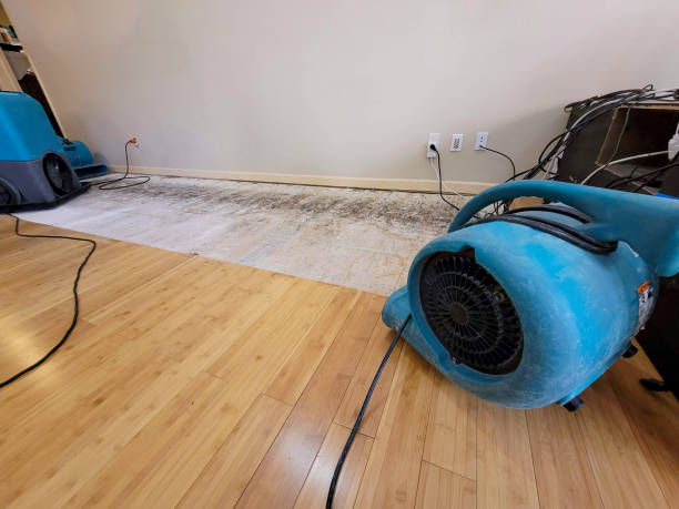 Professional Flood Damage Cleanup technician working in Doylestown, OH